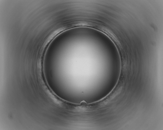 X0000113610898200909181417