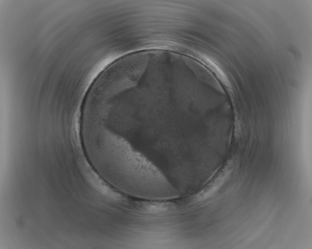 X0000113610899200909181417