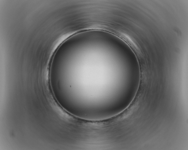 X0000113610900200909181417