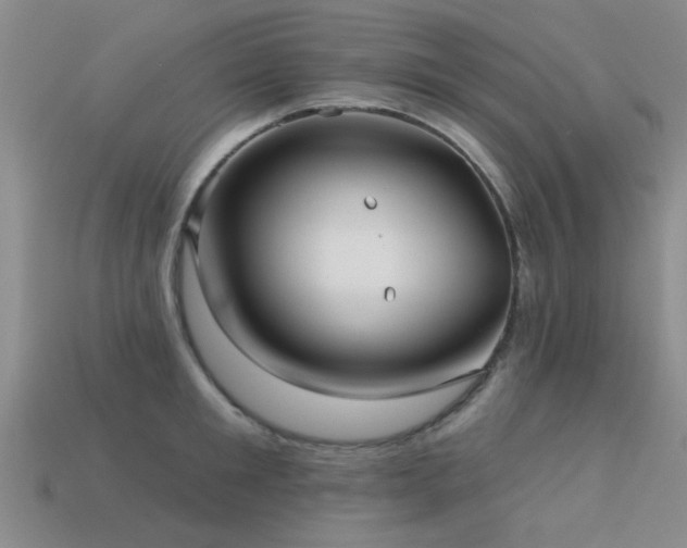 X0000113610901200909181416