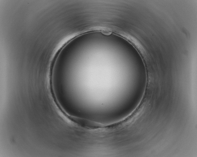 X0000113610902200909181416