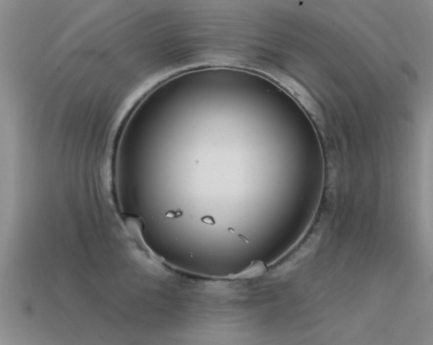 X0000113610904200909181416