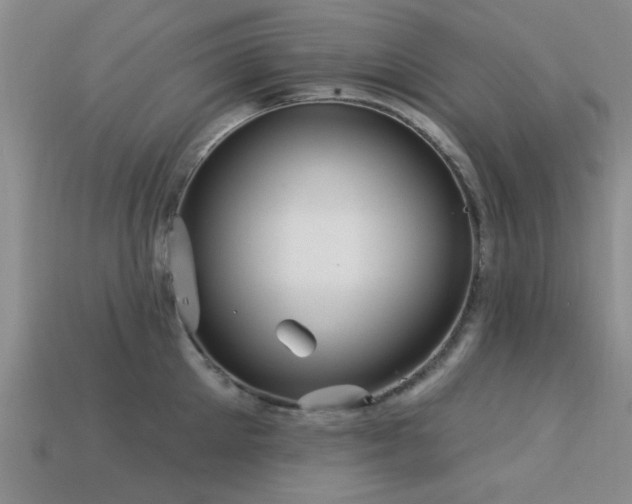 X0000113610905200909181416