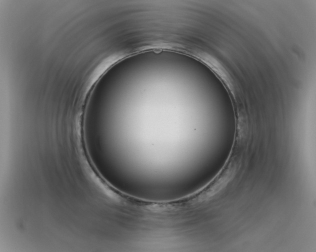 X0000113610906200909181416