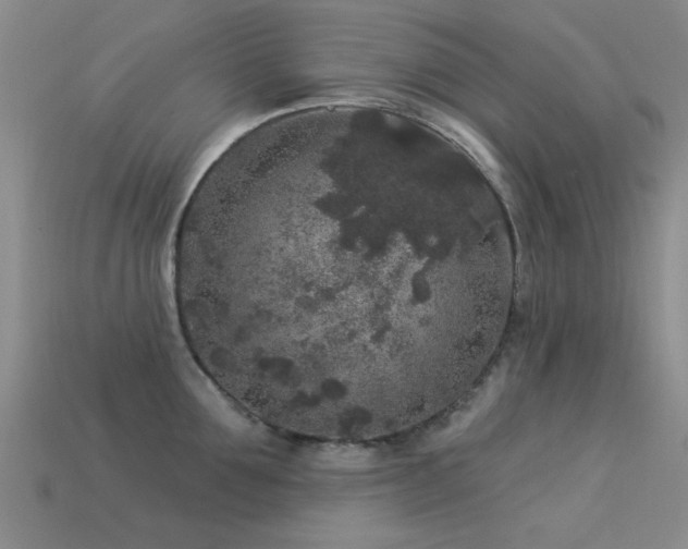 X0000113610907200909181416