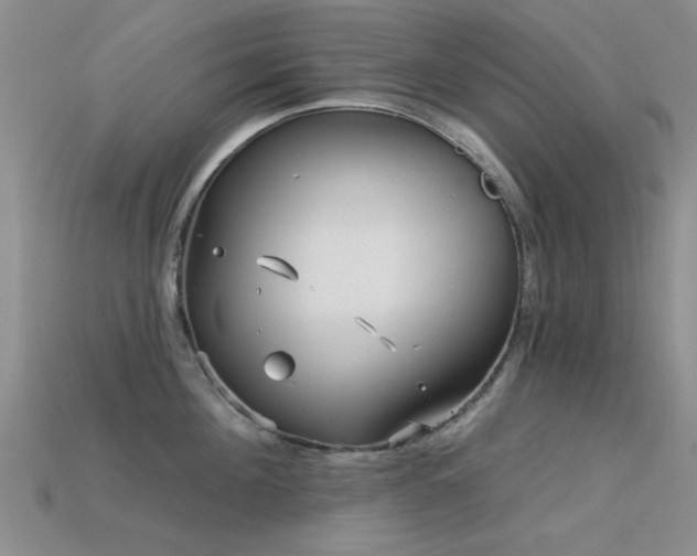 X0000113610908200909181416