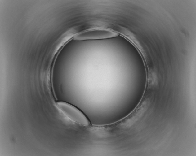 X0000113610909200909181416