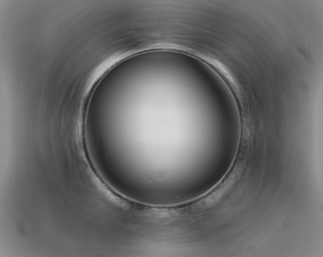 X0000113610910200909181416