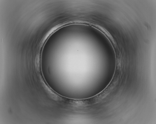 X0000113610911200909181416