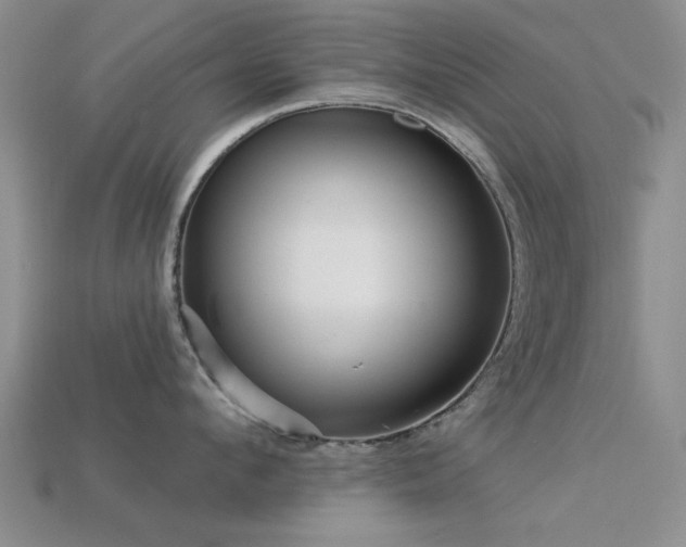 X0000113610912200909181416