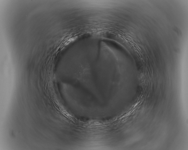 X0000113610913200909181416