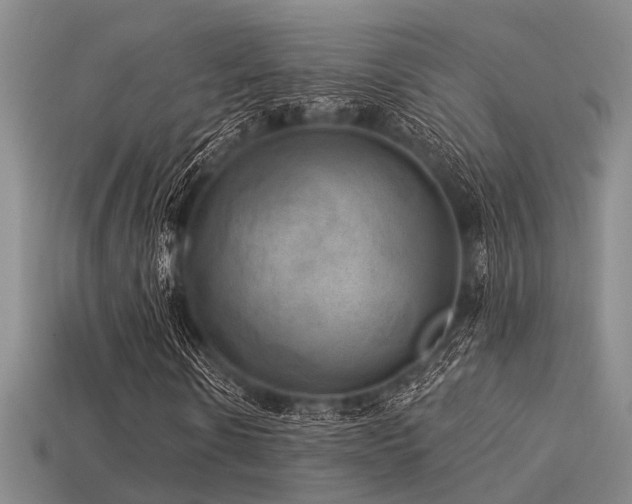 X0000113610914200909181416