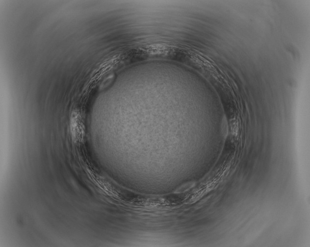 X0000113610916200909181416