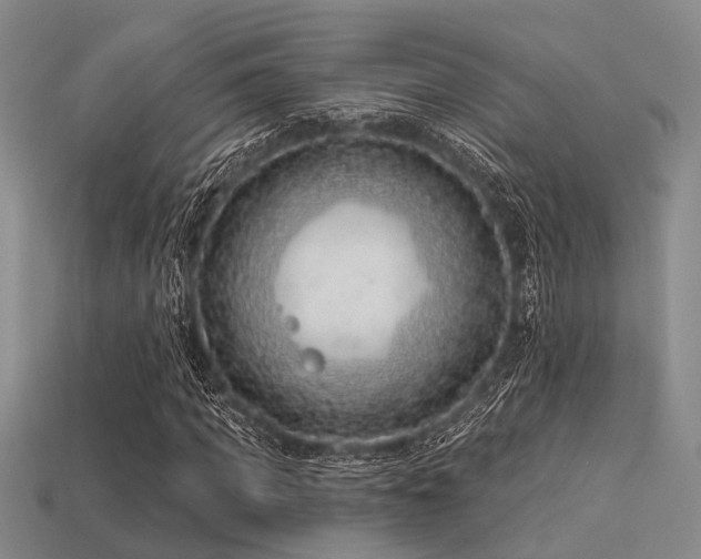 X0000113610917200909181416