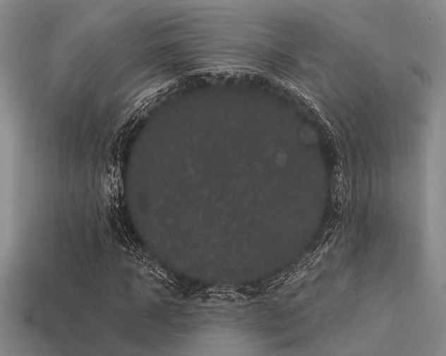 X0000113610918200909181416