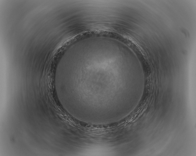 X0000113610919200909181416