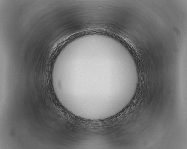 X0000113610920200909181416