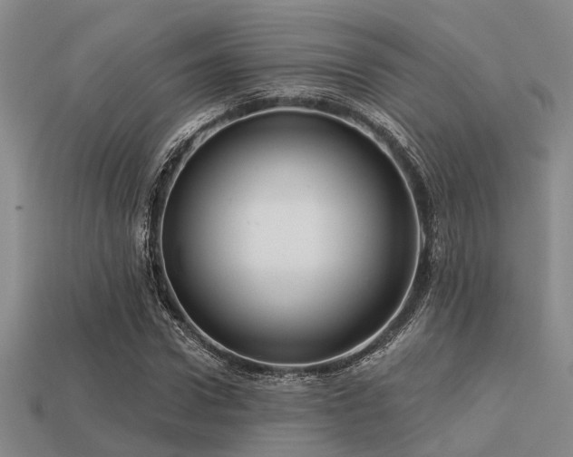 X0000113610922200909181416