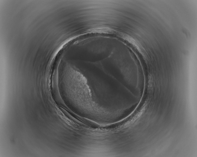 X0000113610923200909181416