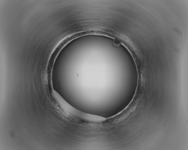 X0000113610924200909181416