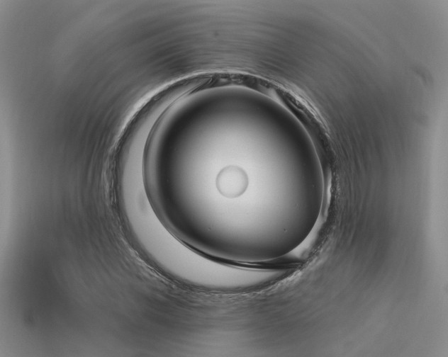 X0000113610926200909181416