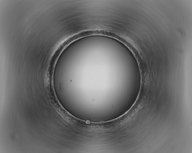 X0000113610927200909181416