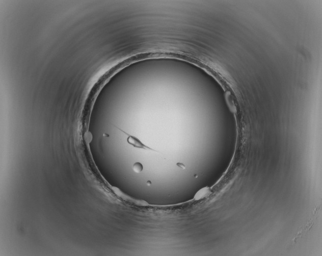 X0000113610928200909181416