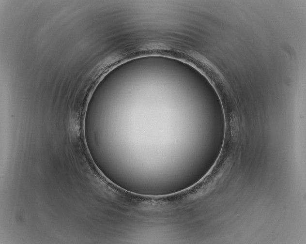 X0000113610929200909181416