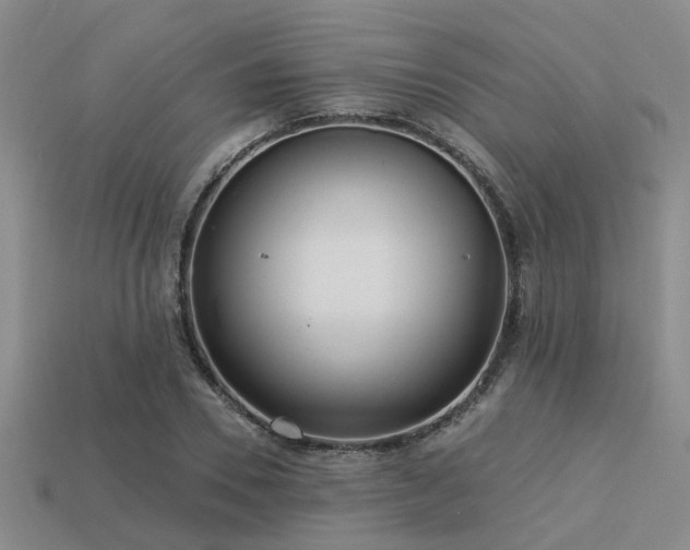 X0000113610930200909181416