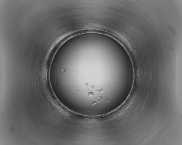 X0000113610931200909181416