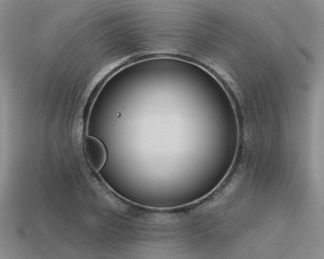 X0000113610933200909181416