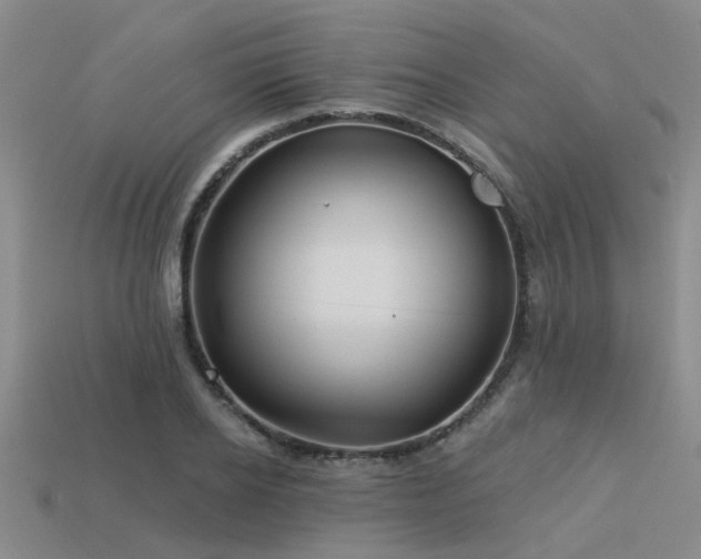 X0000113610934200909181416