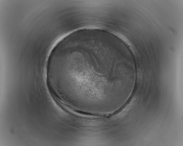 X0000113610935200909181416