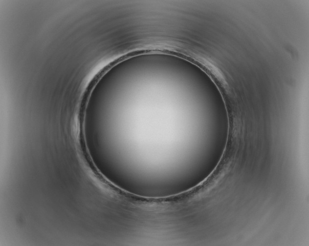 X0000113610936200909181416