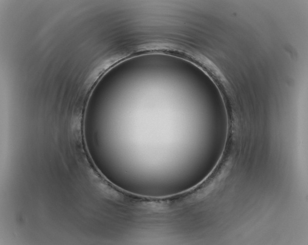 X0000113610937200909181416