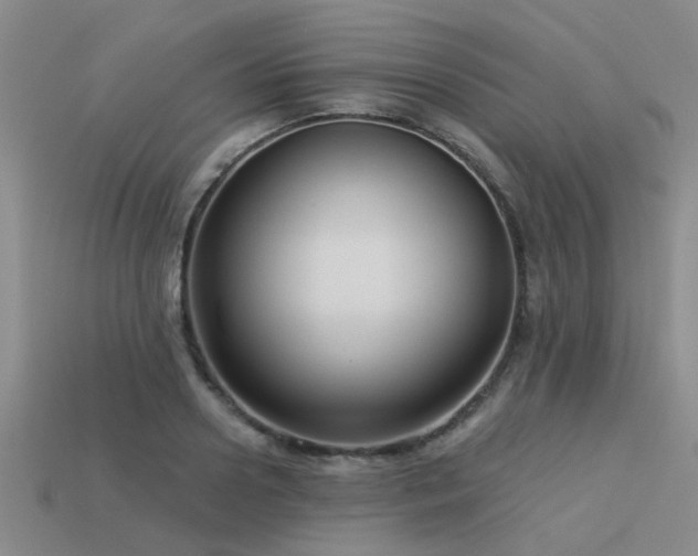 X0000113610938200909181416