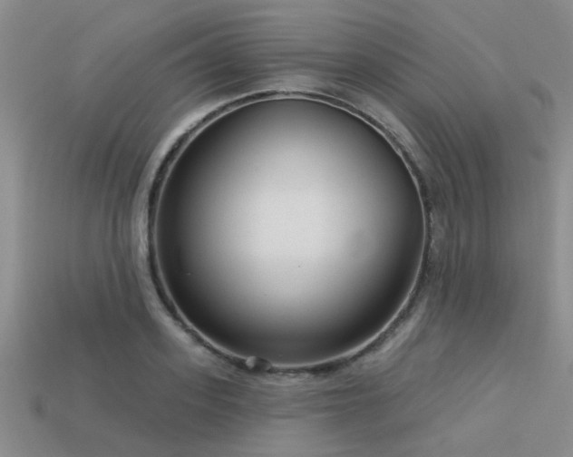 X0000113610939200909181416