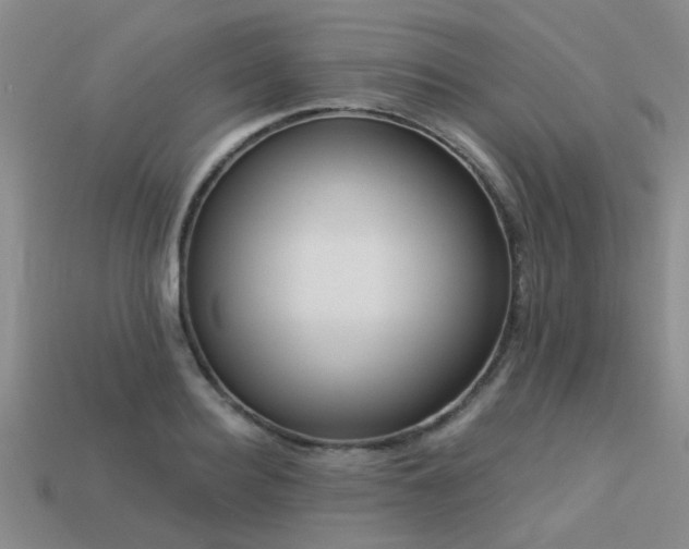 X0000113610940200909181416