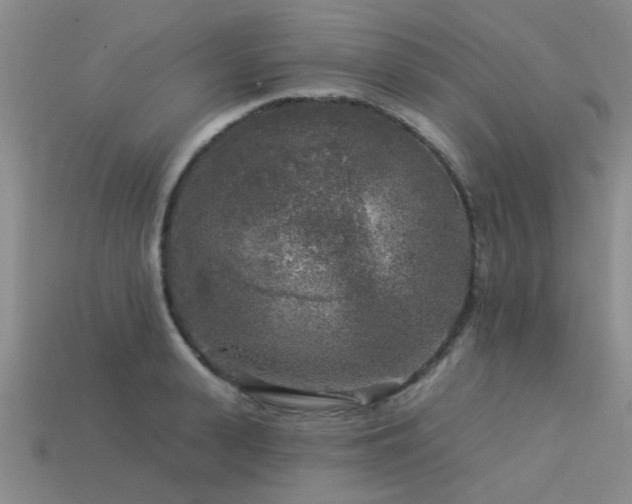 X0000113610943200909181416