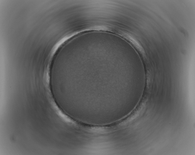 X0000113610944200909181416