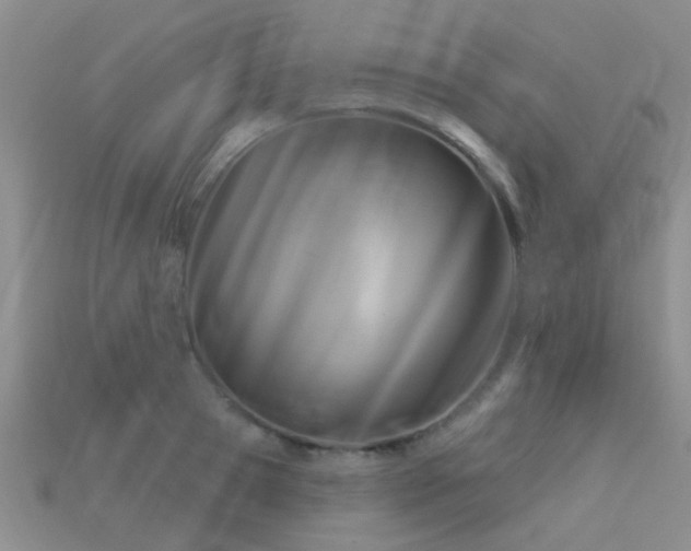 X0000113610945200909181416