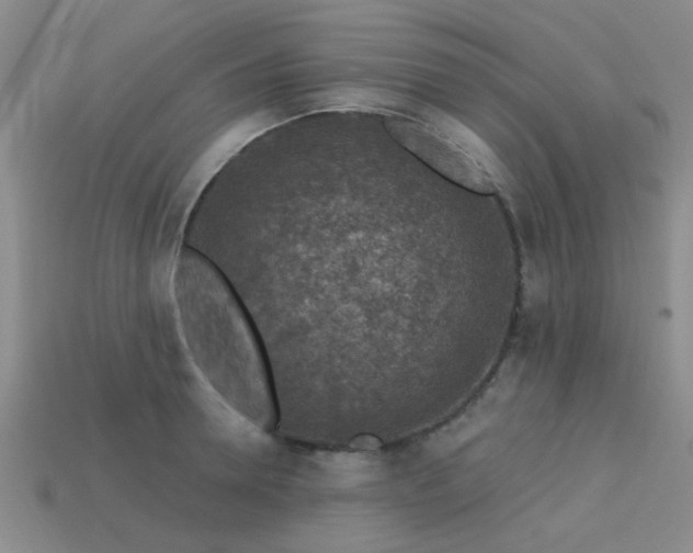 X0000113610946200909181416