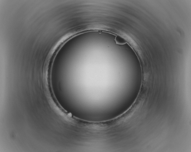 X0000113610947200909181416