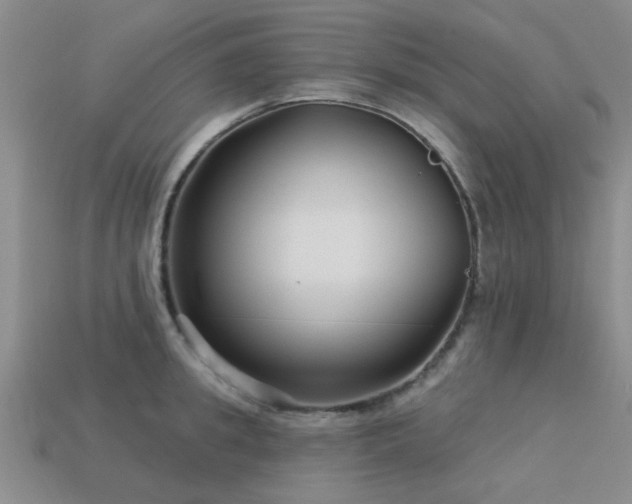 X0000113610949200909181416