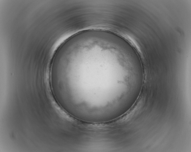 X0000113610952200909181416