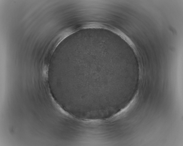 X0000113610953200909181416