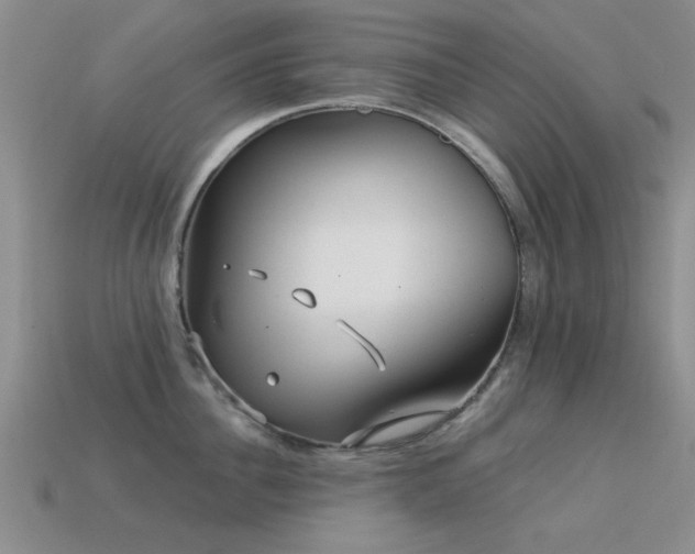 X0000113610956200909181416