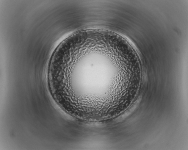 X0000113610957200909181416