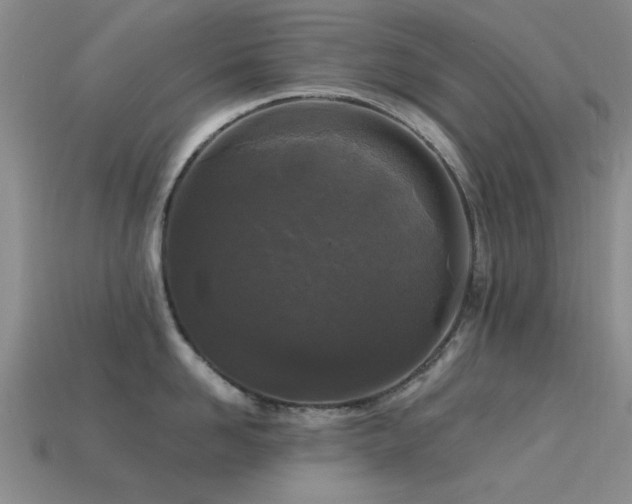 X0000113610958200909181416