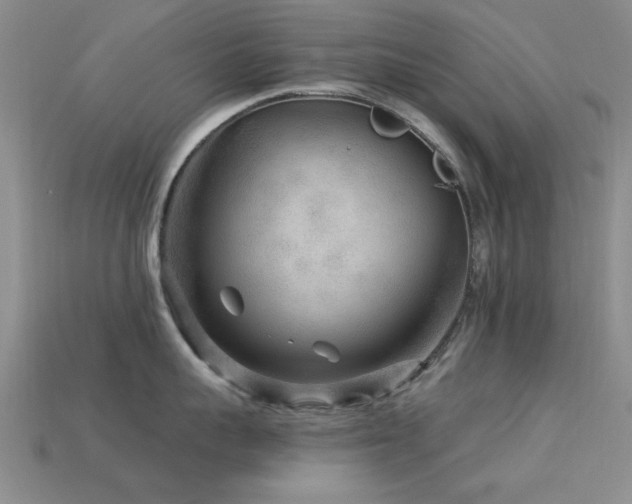 X0000113610959200909181416